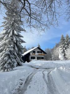 代尔尼采Chalet Mint的一条雪覆盖着的房屋,位于道路旁