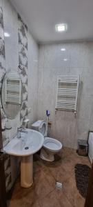 第比利斯Old Tbilisi Apartment的一间带水槽、卫生间和镜子的浴室