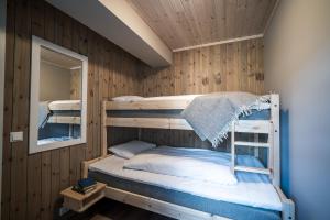 BjorliBjorli Fjellstuer - by Classic Norway Hotels的一间卧室配有两张双层床和镜子