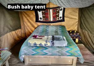 NataEselbe Camp Backpackers的帐篷内的一张床铺,上面有枕头