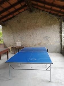 PiozzanoC'era una volta a Piozzano Casa Rustica的房间里的一张蓝色乒乓球桌