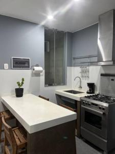 伊察Apartamento en Ica 3的厨房配有炉灶和水槽