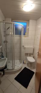 哈茨山区黑尔茨贝格HarzLiebe的带淋浴、卫生间和盥洗盆的浴室