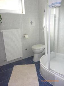 HeckendalheimFerienwohnung Christine的浴室配有卫生间、淋浴和盥洗盆。