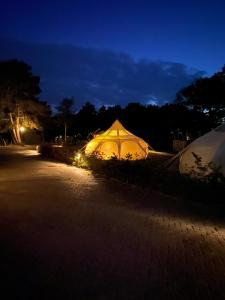 卡兰茨奥赫Stargazer Tent met sterrenuitzicht的夜间在路边的帐篷