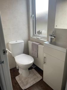 吉斯本Ribble Valley Lodge Retreat的一间带卫生间、水槽和窗户的浴室