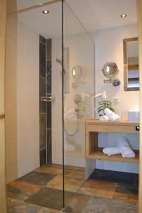 豪尔兹高阿尔盆佩尔酒店的浴室里设有玻璃门淋浴