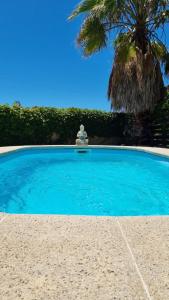 科洛尼亚-德尔萨克拉门托Departamento de huéspedes con piscina y parrilla, Tranquilo y Céntrico的一座大型蓝色游泳池,种有棕榈树