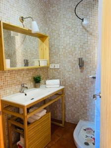 阿尔么丽亚Casa Alma的一间带水槽、镜子和卫生间的浴室