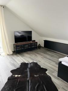 鲁尔河畔米尔海姆Haus Gabor的客厅配有平面电视和沙发。