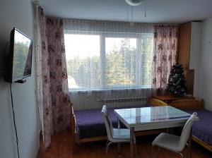 波罗维茨IGLIKA 2 SNOWY NIGHT V18的一间设有桌子的房间和一个带圣诞树的窗户