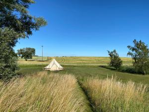 斯塔德Gårdshotellets Camping的草丛中的一个帐篷