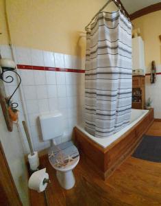 胡苏姆Ahoi Husum, anlegen und wohlfühlen的浴室设有卫生间和带淋浴帘的浴缸。