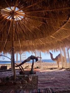 达哈布Cosmos Camp的躺在海滩上,在稻草伞下的妇女