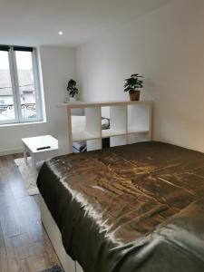 埃皮纳勒Le Cozy - Hyper centre - Calme - Moyenne durée的一间卧室,卧室内配有一张大床