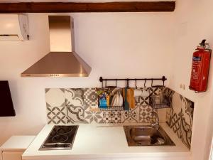 阿利坎特Casita del Flamingo en Casco Histórico的一间带水槽和炉灶的小厨房