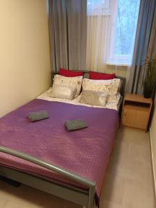 华沙Apartament Pereca 2的一间卧室配有一张带紫色床单和枕头的床。