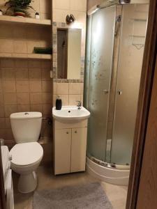 华沙Apartament Pereca 2的浴室配有卫生间、盥洗盆和淋浴。