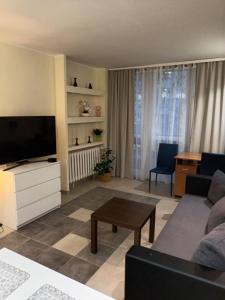 华沙Apartament Pereca 2的带沙发和电视的客厅