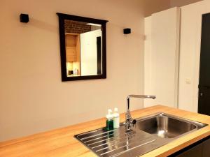 布鲁塞尔Brand new CAMELIA ROOM with private bathroom的厨房柜台设有水槽和镜子