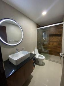 塔里哈Departamento tres dormitorios的一间带水槽、卫生间和镜子的浴室
