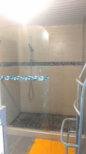 PaïtaCHAMBRES LEZARD Home的带淋浴的浴室