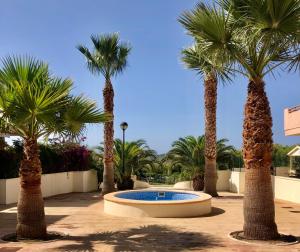 菲内斯特拉特Remarkable 1-Bed Apartment & Sea Views - Sleeps 2的庭院里棕榈树群,设有游泳池