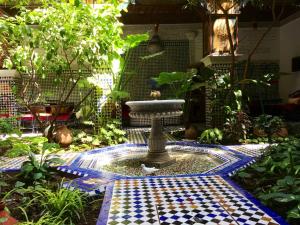 非斯托约尔利亚德比尔兹摩洛哥传统庭院住宅的坐在花园喷泉中的鸟