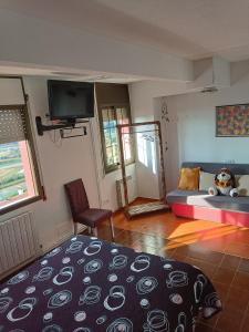 皮内达德马尔Casaemy的客房设有一张床和一台平面电视。