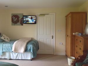 安特里姆Ballyharvey B&B的卧室配有一张床,墙上配有电视。