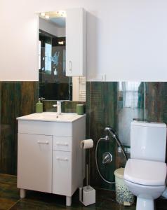 PrejmerVila Sol的浴室配有白色卫生间和盥洗盆。