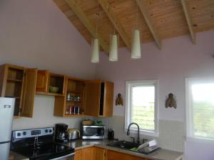 Clarence Town清风港口别墅的厨房配有木制橱柜、水槽和窗户。