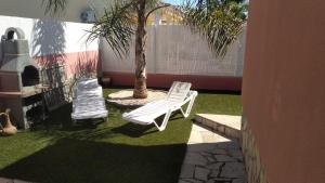 利乌玛Arel的两把白色椅子和一棵棕榈树在院子里