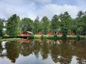 Silberstedt25 Premium Camping Pod的树 ⁇ 湖上的一组帐篷