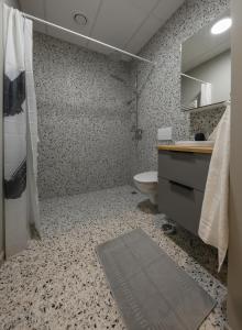 雷克雅未克Center apartments - Hekla的一间带水槽和卫生间的浴室