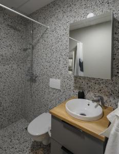 雷克雅未克Center apartments - Hekla的一间带水槽、卫生间和镜子的浴室