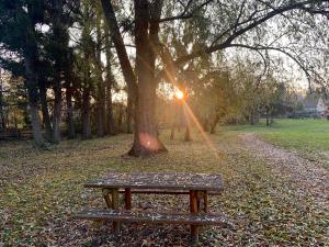 ÉtervilleZénithouse的公园里树旁的长凳