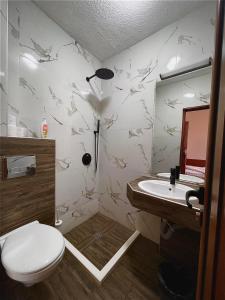 丘斯滕迪尔Rooms Sonata的一间带卫生间和水槽的浴室