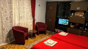 贝尔格莱德Peti的酒店客房设有红色的床和电视。