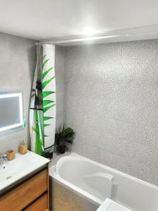 梅济约Chaleureuse Maisonnette Lyon的浴室配有白色浴缸和水槽