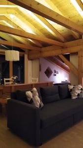 韦尔芬Apartment Hohenwerfen的客厅设有一张沙发,拥有木制天花板