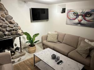 巴斯塔德Plomben B的客厅配有沙发和猫画