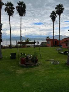 阿吉吉克Hotel Villas Ajijic, Ajijic Chapala Jalisco的种有棕榈树的院子和种有植物的野餐桌