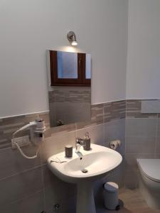 罗马格列佛洛奇住宿加早餐酒店的一间带水槽、卫生间和镜子的浴室