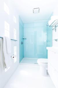 棕榈泉阿尔卡扎棕榈泉酒店的一间带玻璃淋浴和卫生间的浴室