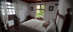 洛斯雷亚莱霍斯Casa La Aldaba的一间卧室设有一张床和一个大窗户