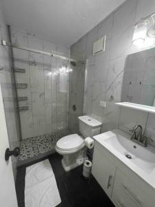 法哈多Casa Rosado @ Villa Marina Fajardo Pool Yunque的带淋浴、卫生间和盥洗盆的浴室