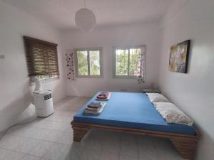 AgnaySPANISH VILLA Lonos ROMBLON的一间设有蓝色床的卧室,位于带窗户的房间内