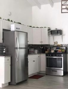 DonoeLeona's Hidden Adventure home的厨房配有白色橱柜和不锈钢冰箱