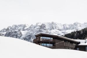 塞尔瓦迪加尔代纳山谷Saleghes Dolomites Residence的一座白雪覆盖的山顶上的建筑